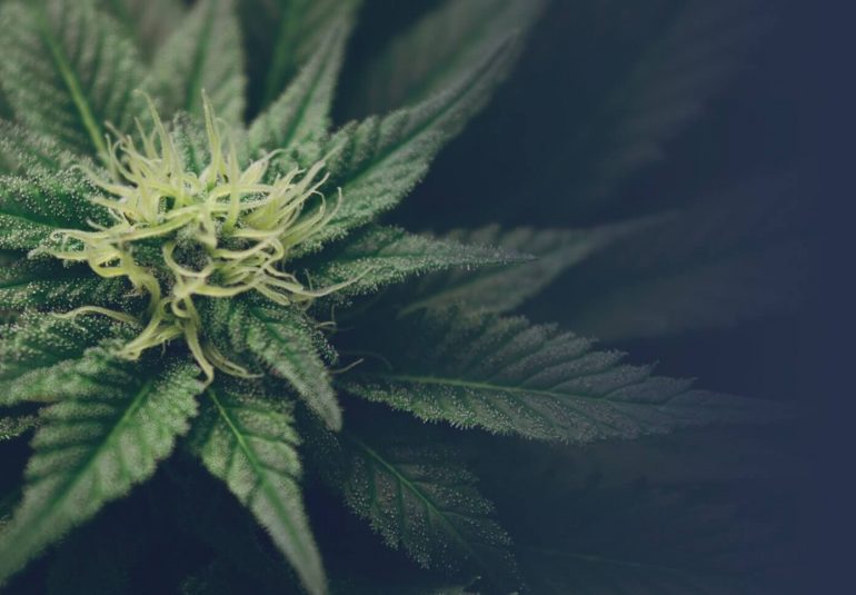 Our pick of the coolest denim jackets to *finally* swap your winter coat for