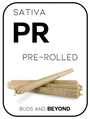 pre rolled sativa joints canada
