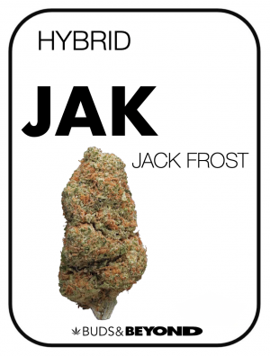 JACK FROST
