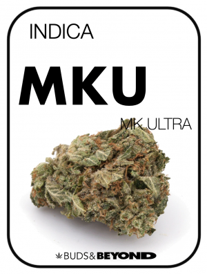 MK Ultra