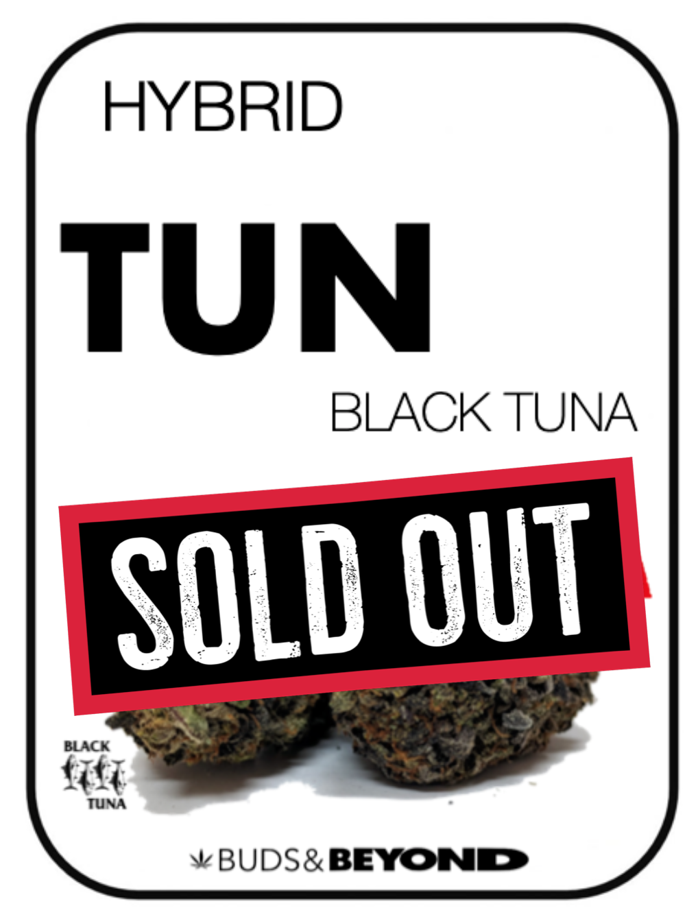 Screen Shot 2020-08-09 at 12.56.50 AM