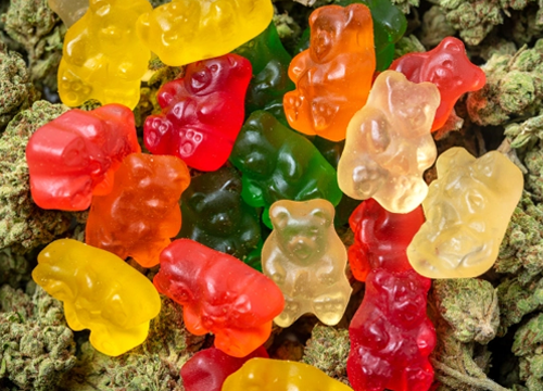 buy cannabis edibles online in canada